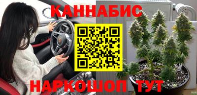бошки Новозыбков
